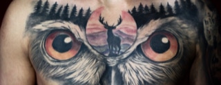 Tatuaggio gufo sul petto