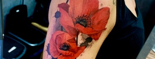 Tatuaggio papaveri