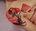 Tatuaggio Colorato papaveri su spalla